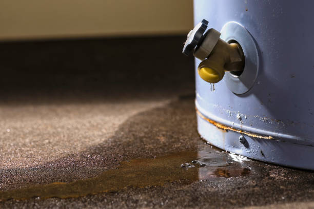 Best Mold removal after water damage  in Cohasset, MN