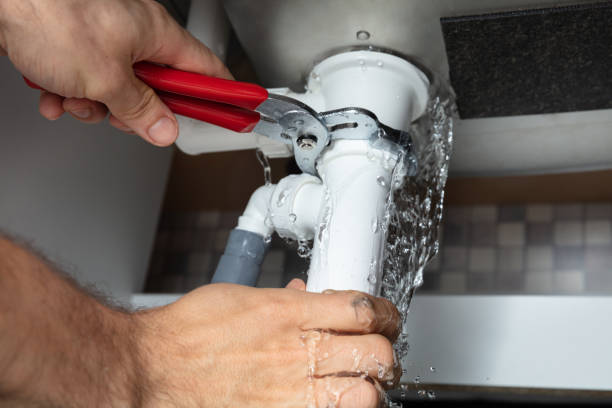 Best Professional water damage repair  in Cohasset, MN