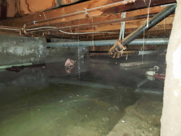 Best Residential water damage restoration  in Cohasset, MN