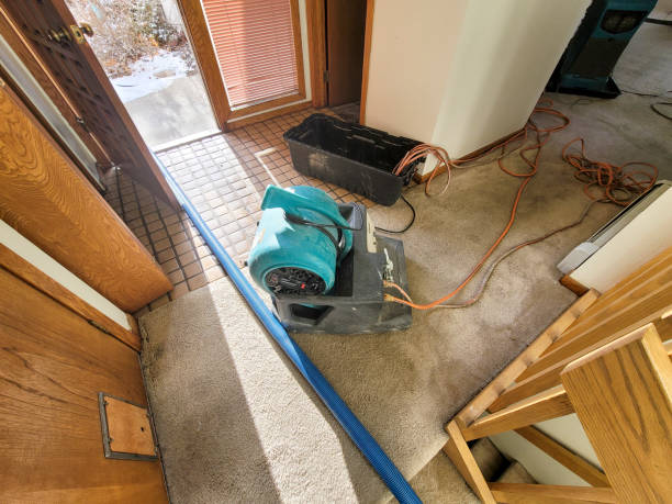 Best Local water damage restoration  in Cohasset, MN