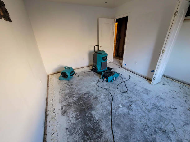 Best Ceiling water damage repair  in Cohasset, MN