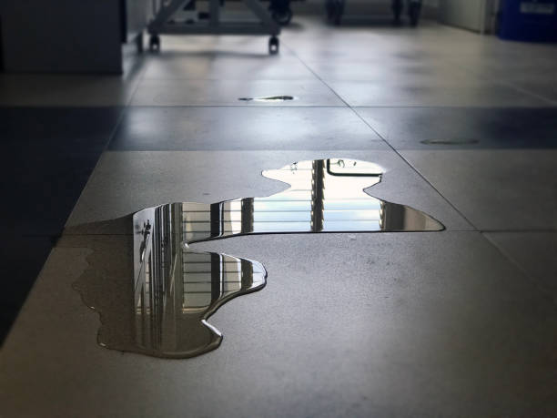 Best Water damage repair service  in Cohasset, MN