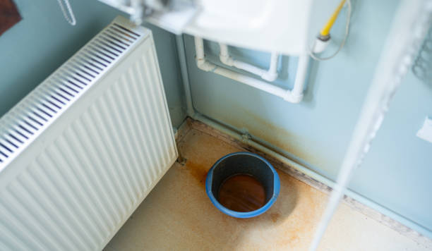 Best Ceiling water damage repair  in Cohasset, MN