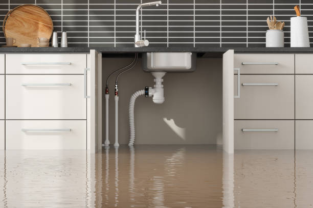 Best Residential water damage restoration  in Cohasset, MN