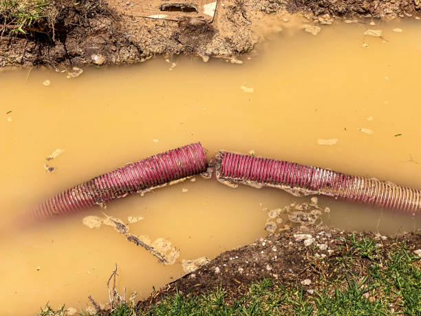 Best Local water damage restoration  in Cohasset, MN