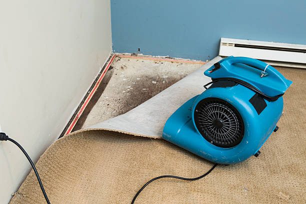 Carpet water damage restoration in Cohasset, MN